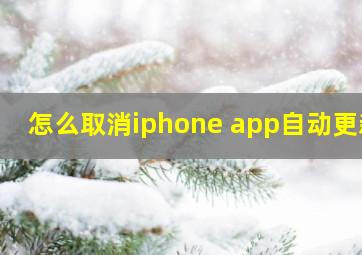 怎么取消iphone app自动更新